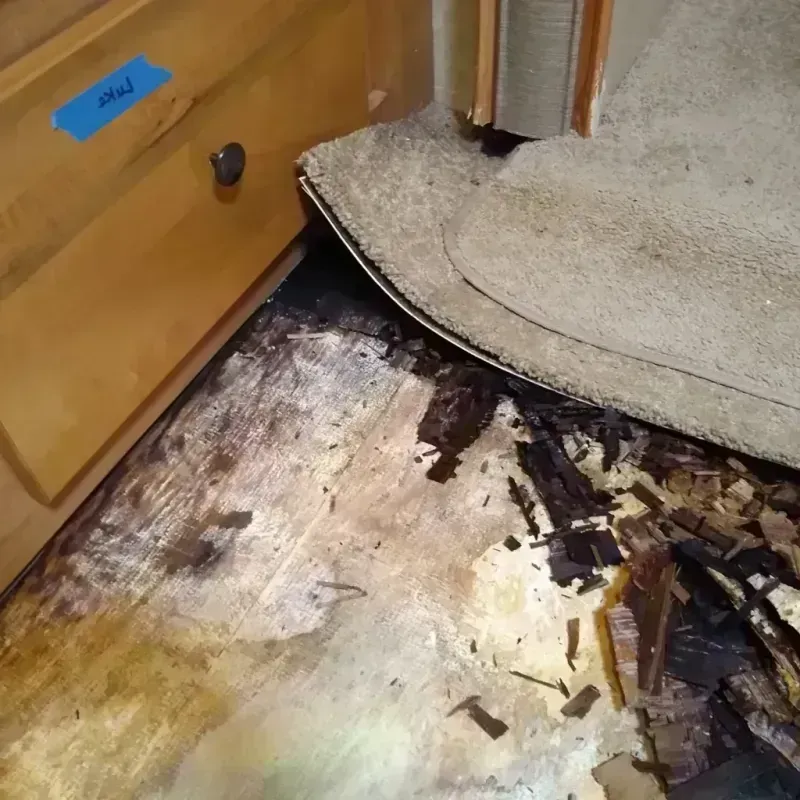 Wood Floor Water Damage in Millstadt, IL